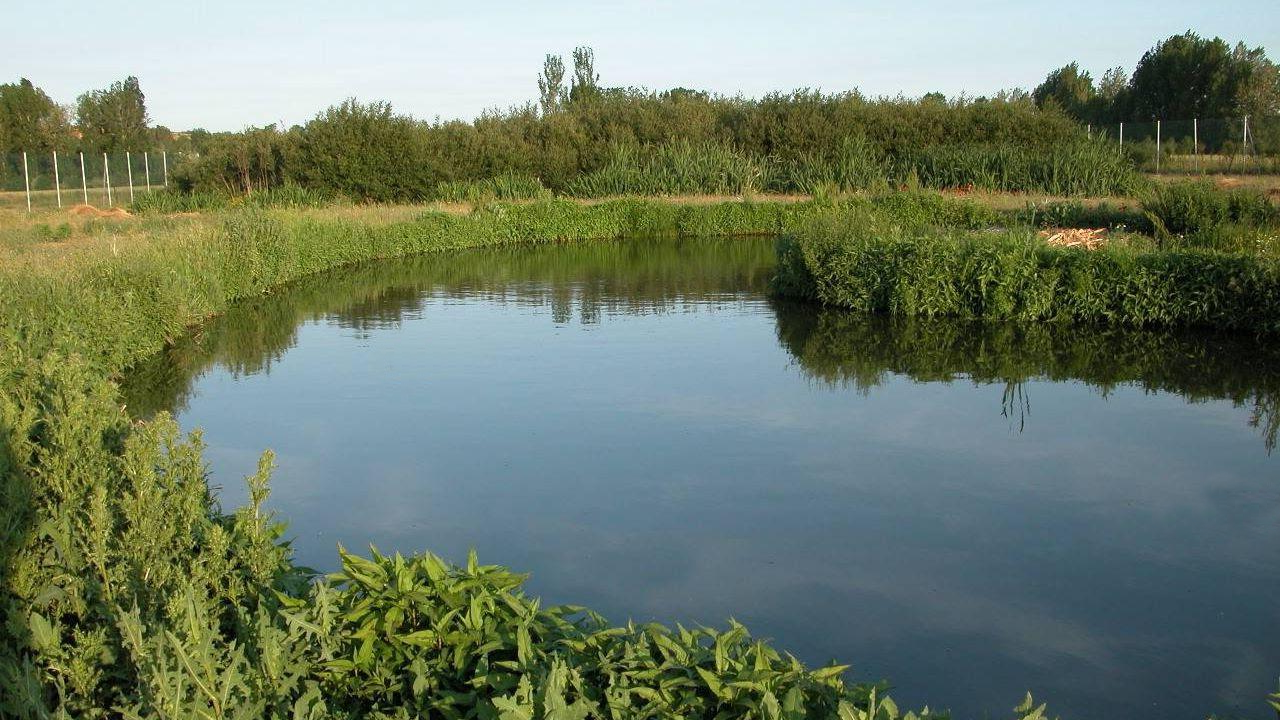 Impulsan la creación de una reserva natural para proteger el arroyo El Pescado y sus humedales -